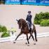 Germans Take Dressage Team Title